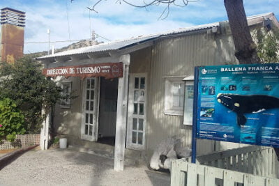 Agencia de viajes y turismo Avistaje De Ballenas - Punta Ballena