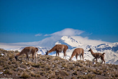 Agencia de viajes y turismo Mendoza Andes 4x4